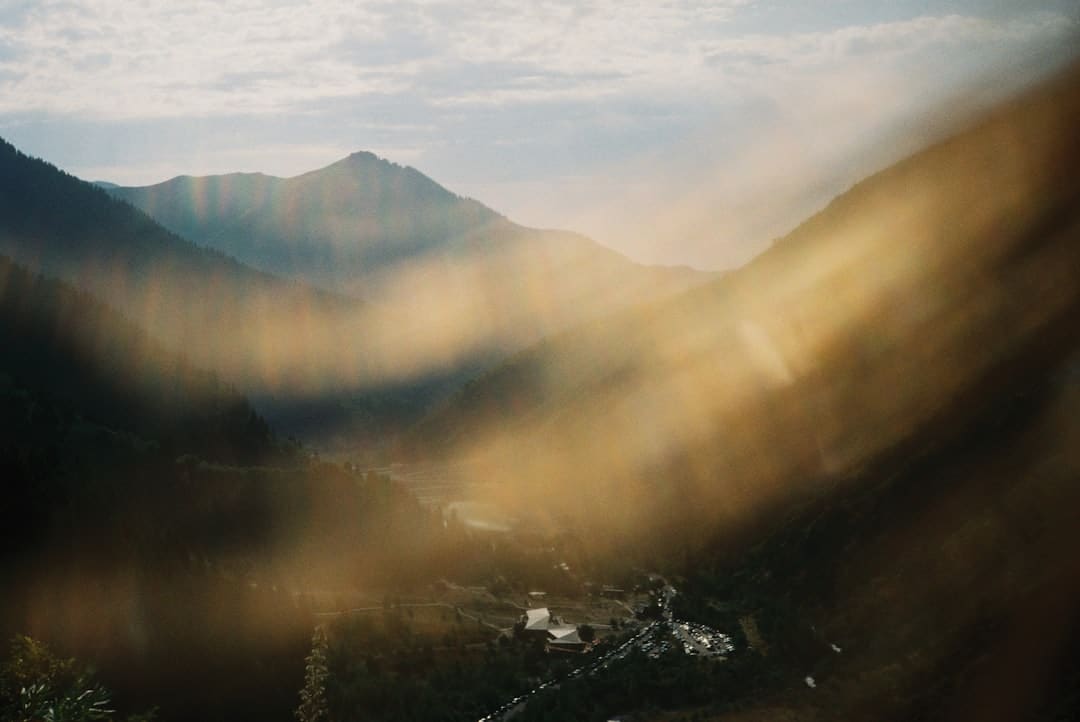 韩国“神话王国”南怡岛绝美夏景_